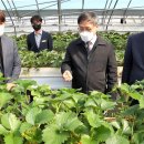 양창근농장 이미지