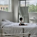 헬로, 멜로 | 🎀헬로멜로 / 출장돌상 서포터즈 찐후기