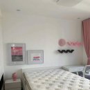 에스텔라 이미지