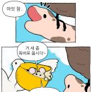노란부엉이 Daum카페