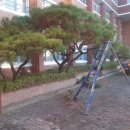 전남과학고등학교 이미지