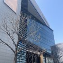 사림회관 | 웨딩. 웨딩홀 정하기 상록아트홀 라비니움 견적 계약O (26년 3월)