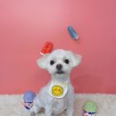 딱이네미용실 이미지