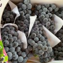 사파민원센터옆 이미지