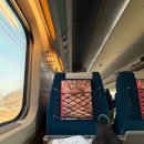 ARC | 미국 국제 아로마테라피 ARC(Aromatherapy Registration Council) 자격증 시험 후기