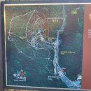 율곡 | [경기/파주] 늦가을 홀로 즐기는 힐링 명소! 파주 율곡수목원 방문 후기