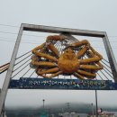 2025 경북 영덕대게축제 셔틀버스, 주차장 정보 &amp; 근처 강구맛집 소개