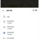 해덕농장 | [해깨마일기] 미스틱 덩굴 시즌과 권태기 극복