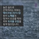 선뷰티