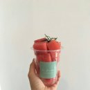 라푸르따 이미지