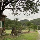 단양농협 대강지점 이미지