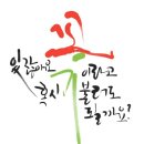 꽃차 힐링 테라피 이미지