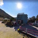 강아지&고양이 마을 이미지