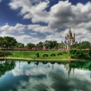 소나무언덕 이미지