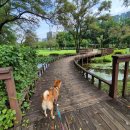 구갈레스피아 게이트볼장 이미지