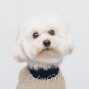 달링스튜디오 이미지