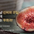 현산농장 이미지