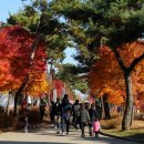 나루농장 이미지