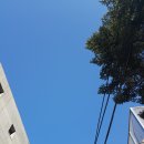 쇼호스트 학원 상담받기 도전 이원석아카데미 카메라테스트 후기