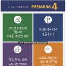 더아르떼플러스