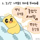 비티아이 이미지