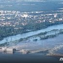 세종축산동물약품 이미지