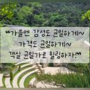 라포레캠핑장