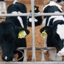 입지목장 이미지