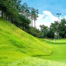 플레이골프 이미지