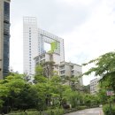 서울은진초등학교 네이버블로그