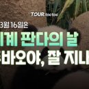판다톡톡