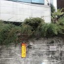 종합조경 이미지