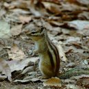 황성공원 이미지