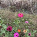 둔터니둘레길 이미지