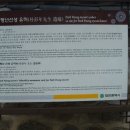 박팽년선생유허비 이미지