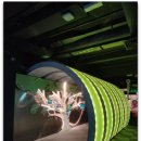 개미농장 | 말레이시아 페낭 엔토피아 나비농장 티켓-랜드마크,명소// 클룩 할인코드 예약하기!