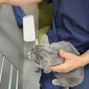 석곡리 1842 이미지