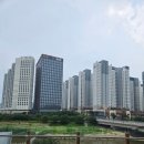 수나책방