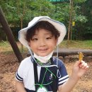 사랑유 Daum카페