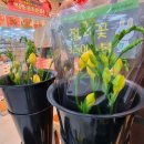 믿을마트 이미지