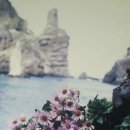 주식회사노바셀테크놀로지 이미지