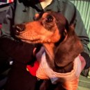 왈왈이발소 | 2025, 봄에서 초여름