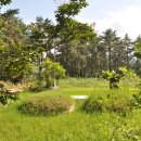 신세기목장 이미지