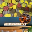 베버리 독스 네이버블로그