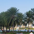 우렁찬 태권도 이미지