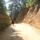 강촌유원지 이미지