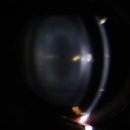 광주다온동물병원 이미지