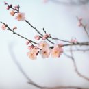 재개발 컨설팅 행정사 사무소 네이버블로그