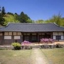 암소한마리 이미지