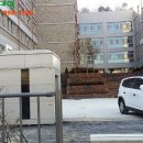 도담동늘봄초등학교 이미지